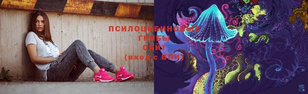 a pvp Алзамай